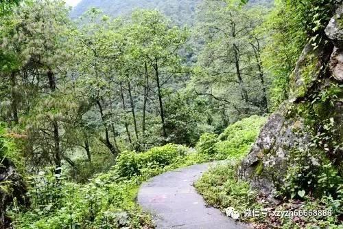 我市新增一批市级现代农业园区